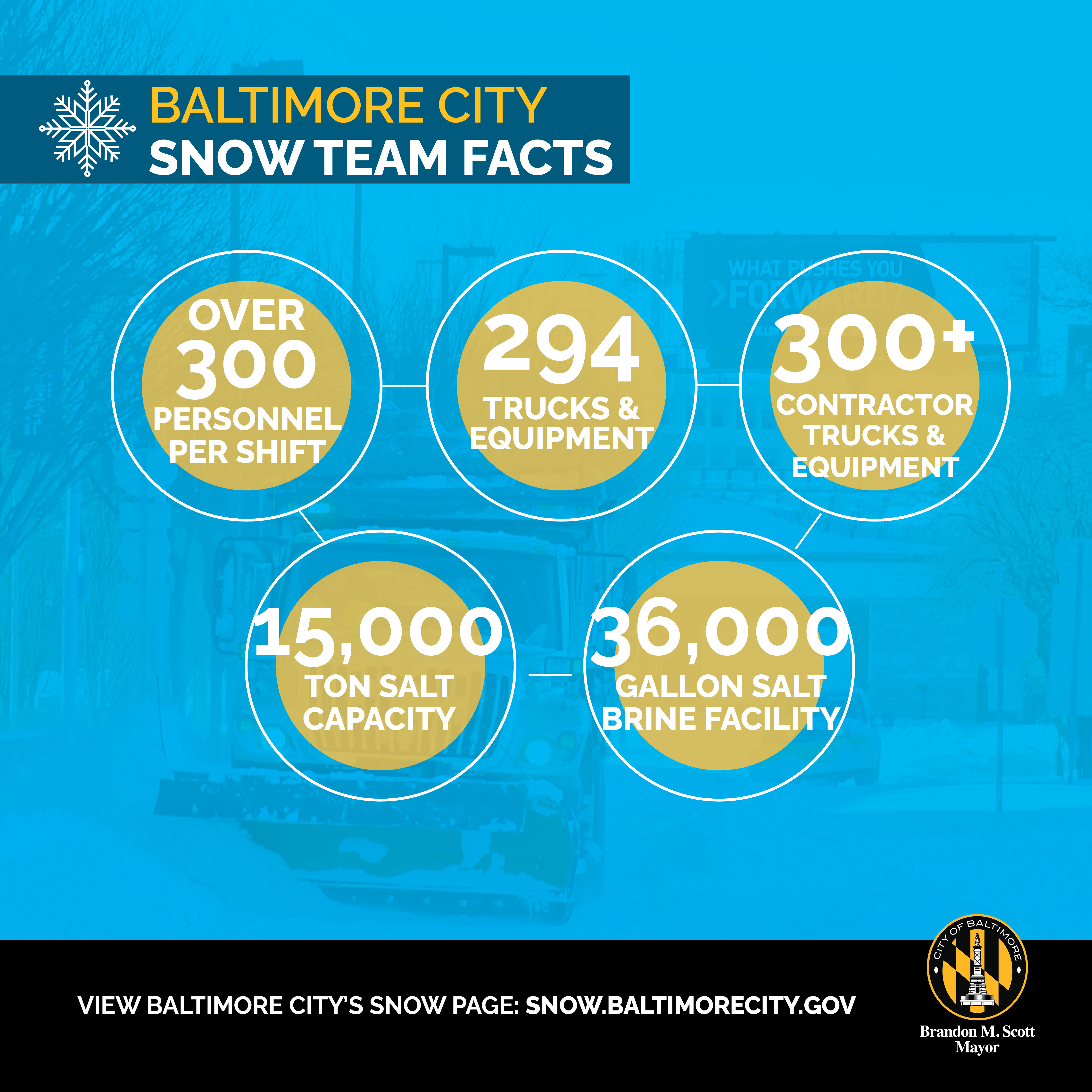 Snow Team Facts 1