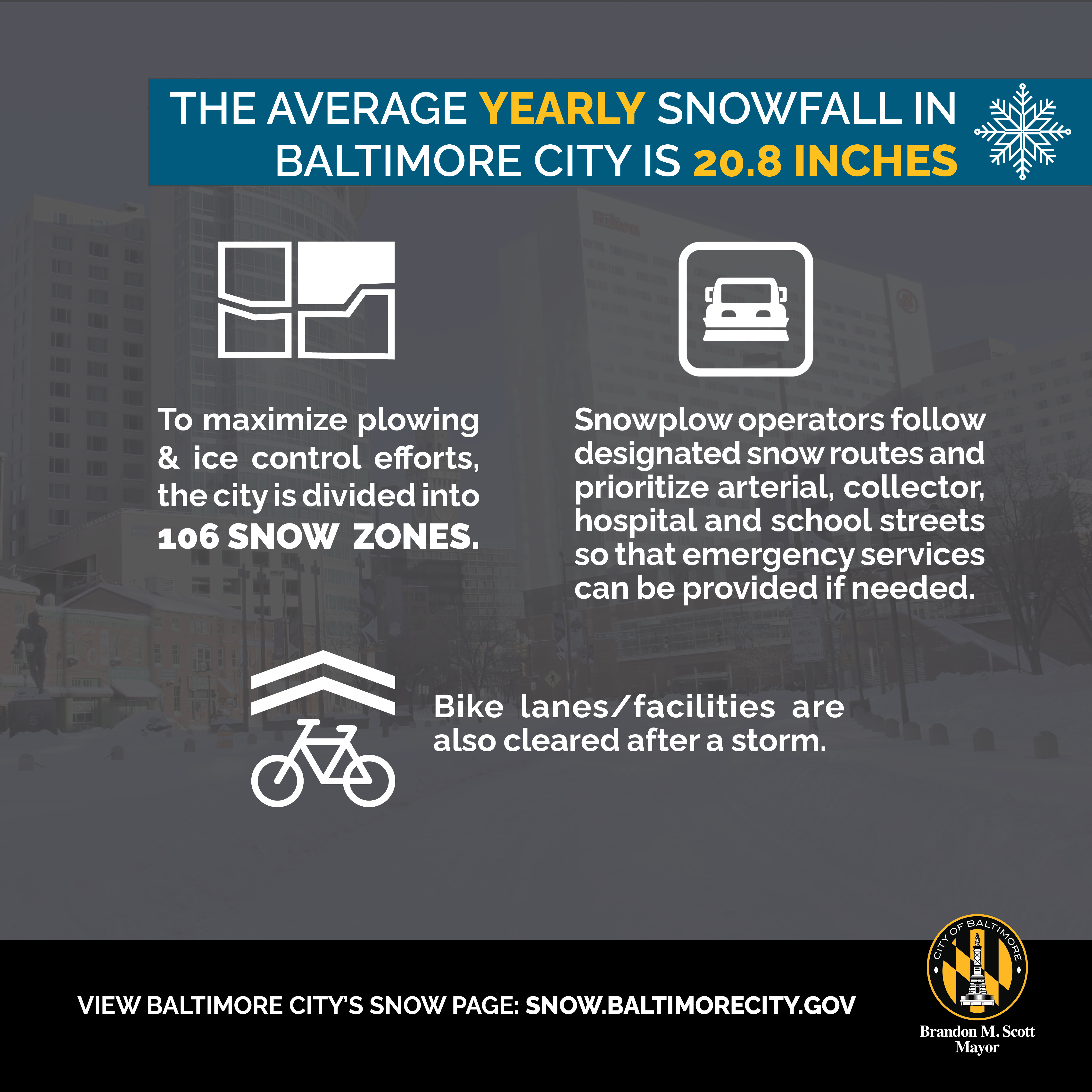 Snow Team Facts: Yearly Snow